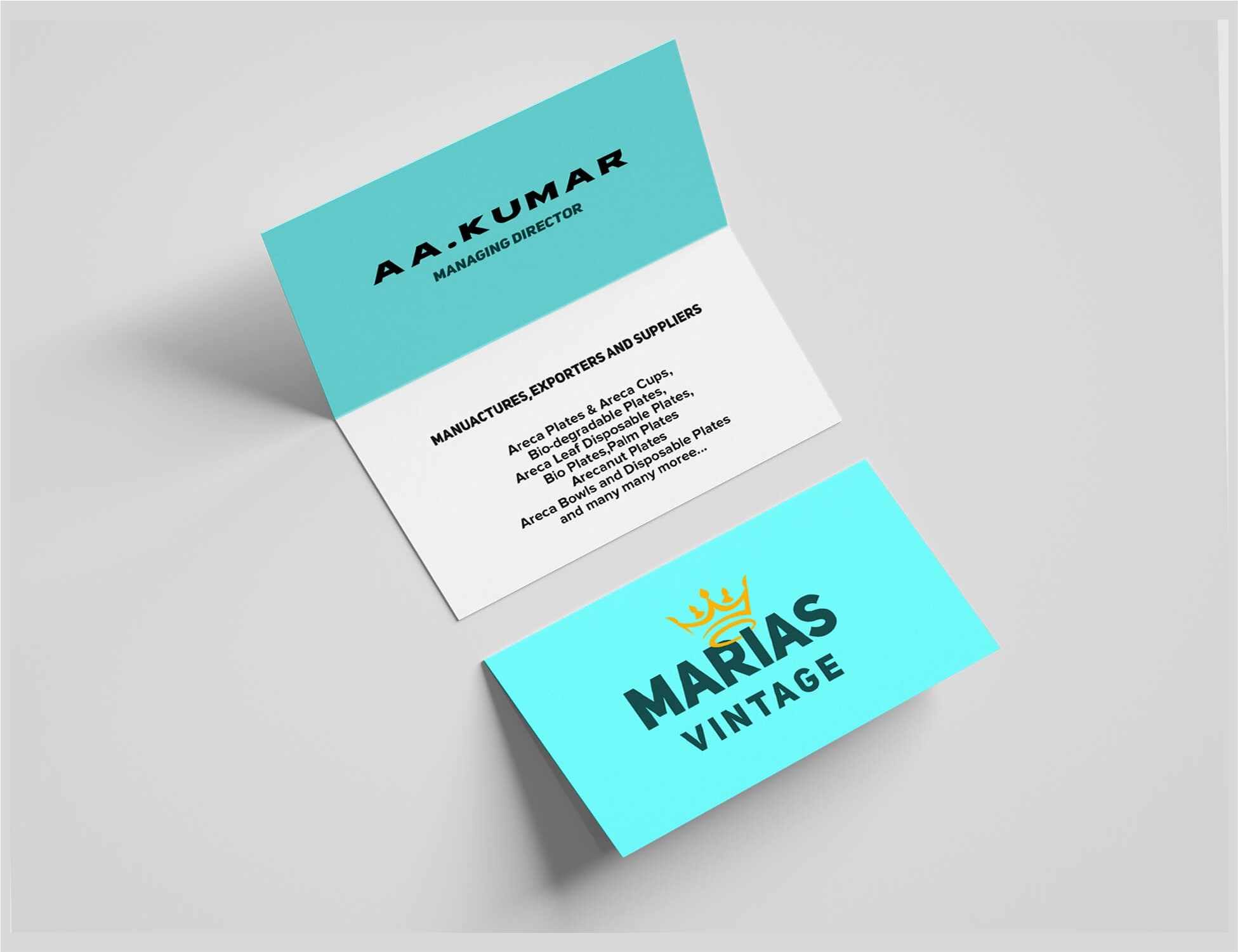 Web Design Guides